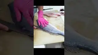 fileteando corvina #fish  #corvina #acomerpescado