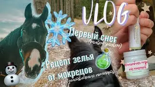 VLOG|часть 2|как живется без теплой конюшни|борюсь с мокрецами(почти победила)