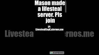 Mason's lifesteal server