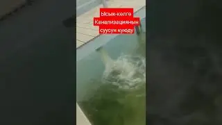 Ысык колго булганган сууну куюп салды 💯😱