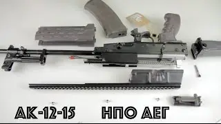 АК-12-15 от НПО АЕГ -  у страйкболистов раньше чем в Армии РФ :))