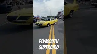 Plymouth Superbird Road Runner #shorts #carshorts #carshow #plymouth #superbird #roadrunner #hotrod