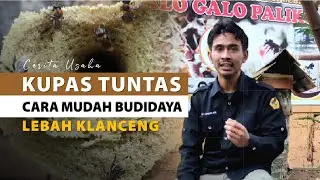Di PHK Dari Sebuah Resort Sarjana Hukum Ini Banting Stir Budidaya Lebah Klanceng Di Belakang Rumah