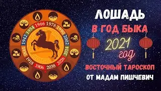 ЛОШАДЬ в год БЫКА 2021. Восточный тароскоп
