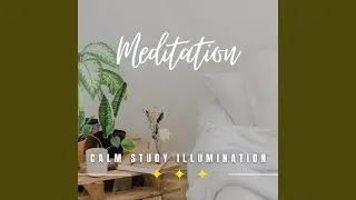 Concentration Meditation Oasis