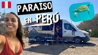 😍 We found it! The most BEAUTIFUL BEACH in PERU and there is NO ONE!! We would live in this place ☀️