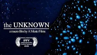 the UNKNOWN - a Macro film by Ahmad Mesto