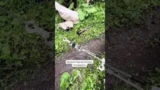 Уральская зона отчуждения #денсталк #урал
