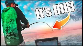 Monster Salmon Everywhere! Lake Ontario Fishing Gone Wild! 🎣