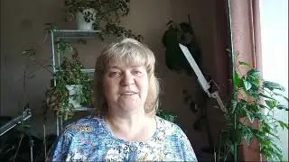 обзор комнатных растений