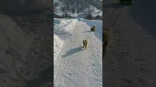 Зимние забавы