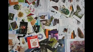 Обзор на распаковку марок с официального сайта почты Исландии - 08.10.2020 г.