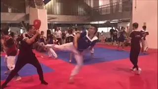 Todays Taekwondo Greece Seminar 2018