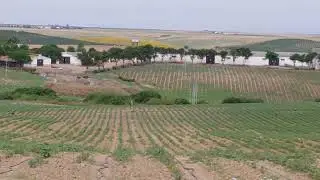 2020 VISTAS DESDE FINCA SAETILLA