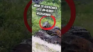 This mean 'ol rockchuck was laughing at us & said we can't hit nothing! The #22Grendel barked once!