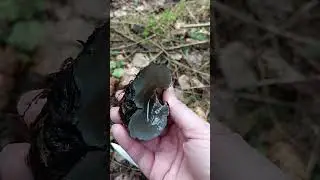 а что внутри?