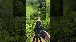 Fujifilm GFX 100 II Medium Format RhinoCam Stitching Adapter #filmphotography #landscapephotography