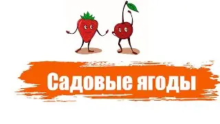 Садовые ягоды