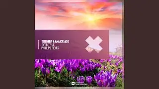 Ever True (Phillip J Remix)