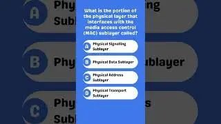 What part of the physical layer connects to the MAC sublayer?