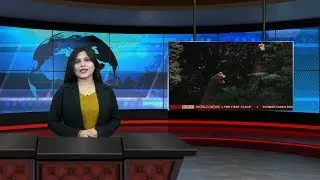 Apex Legends - Breaking News 2