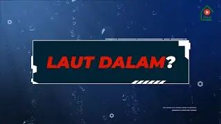 10 Fakta Unik Tentang Laut Dalam