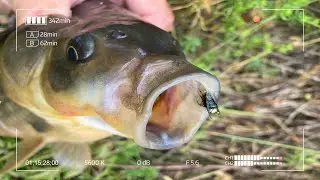 Шнур, который смог! Стеклянный спиннинг в Мормышинге.