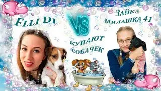 Сравниваем: Зайка Милашка 41 VS Elli Di Pets