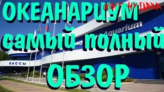 Океанариум Сочи . Sochi Discovery World Aquarium. Полный Видеообзор. Океанариум в адлере