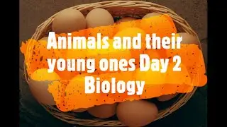 Animals and their Young Ones | Day - 2 | Biology
