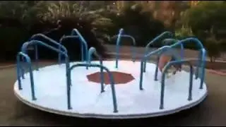 Дрессировка животных