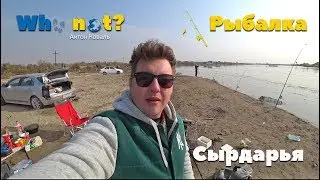 Палатка в инее но Улов Есть! Сырдарья-Ташкент. Рыбалка с Ночевкой