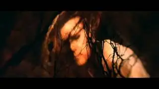 Evanescence   Sweet Sacrifice