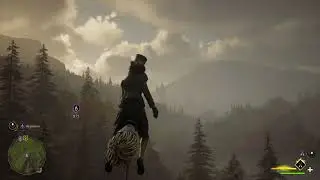 Hogwarts Legacy - (28) Charles Rookwood's Trail
