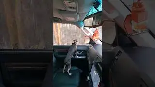 с полковником