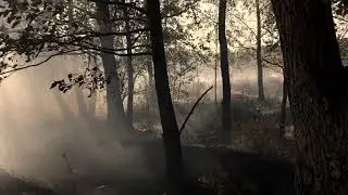 Пожары в Житомирской области