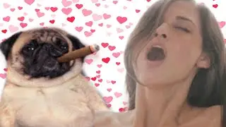 RE:10 Reasons Why Girls Should Have Sex With Dogs Pt.2