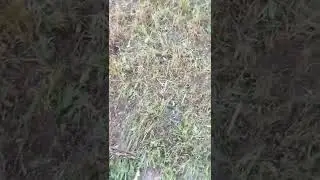 Воскресенье Выходной