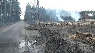 Зареченское кладбище расширили, вырубив участок леса между новейшим его кварталом и дорогой к нему.