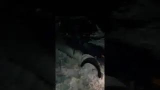 Охота на гуся