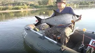 Рыбалка с лодки на кольцо, как всегда удачно.