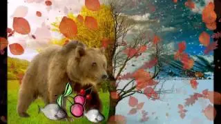Мультфильм 