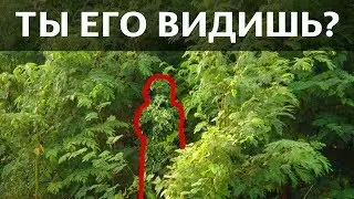 ТЕСТ: Найди снайпера за 10 секунд, пока он не нашел тебя | БУДЬ В КУРСЕ TV