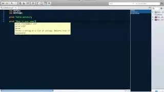 Learn How to Program Perl: Lesson 1