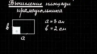 Математика  Урок 6  Вычисление площади прямоугольника