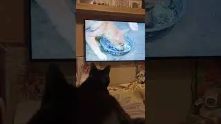 А чего это вы тут делаете?