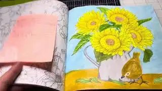 Romantic country coloring book using Kuretake Gansai Tambi water colors for the first time