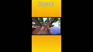 Ich wollte ganz normal Skywars spielen, als das passierte... #shorts