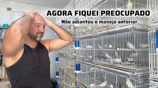 AGORA FIQUEI PREOCUPADO.