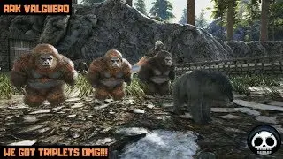 Baby Chunky Monkey! Breeding Up The Gigantopithecus Ark Valguero Part 12
